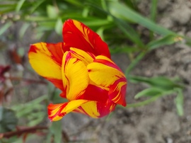fannyg fotója