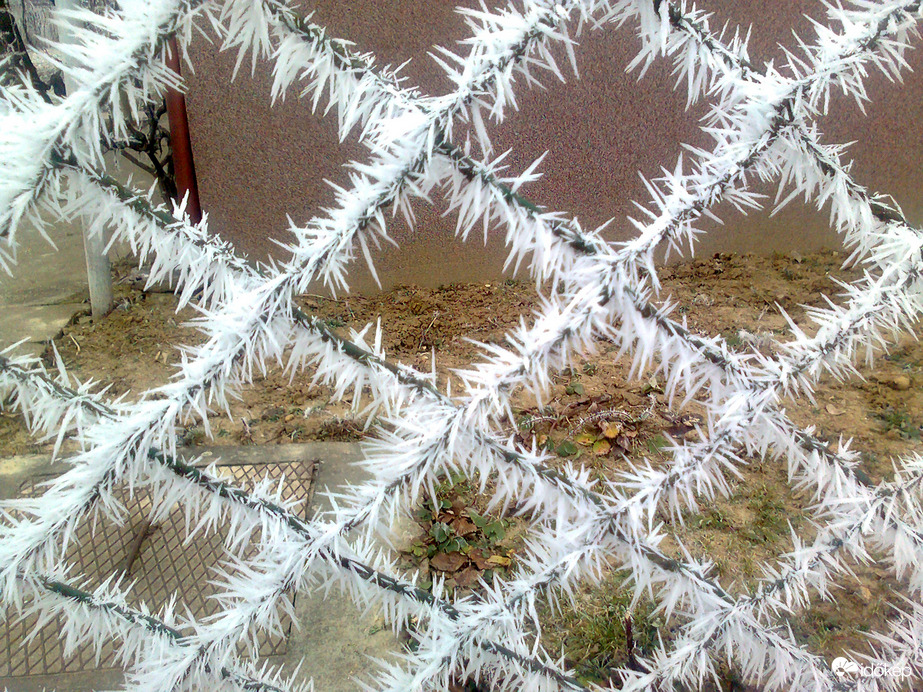 Egy fagyos reggelen... 