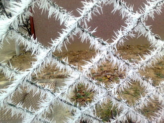 Egy fagyos reggelen... 