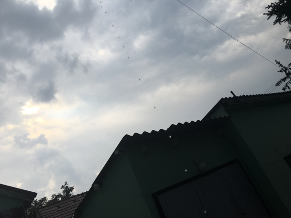 Észlelési fényképek