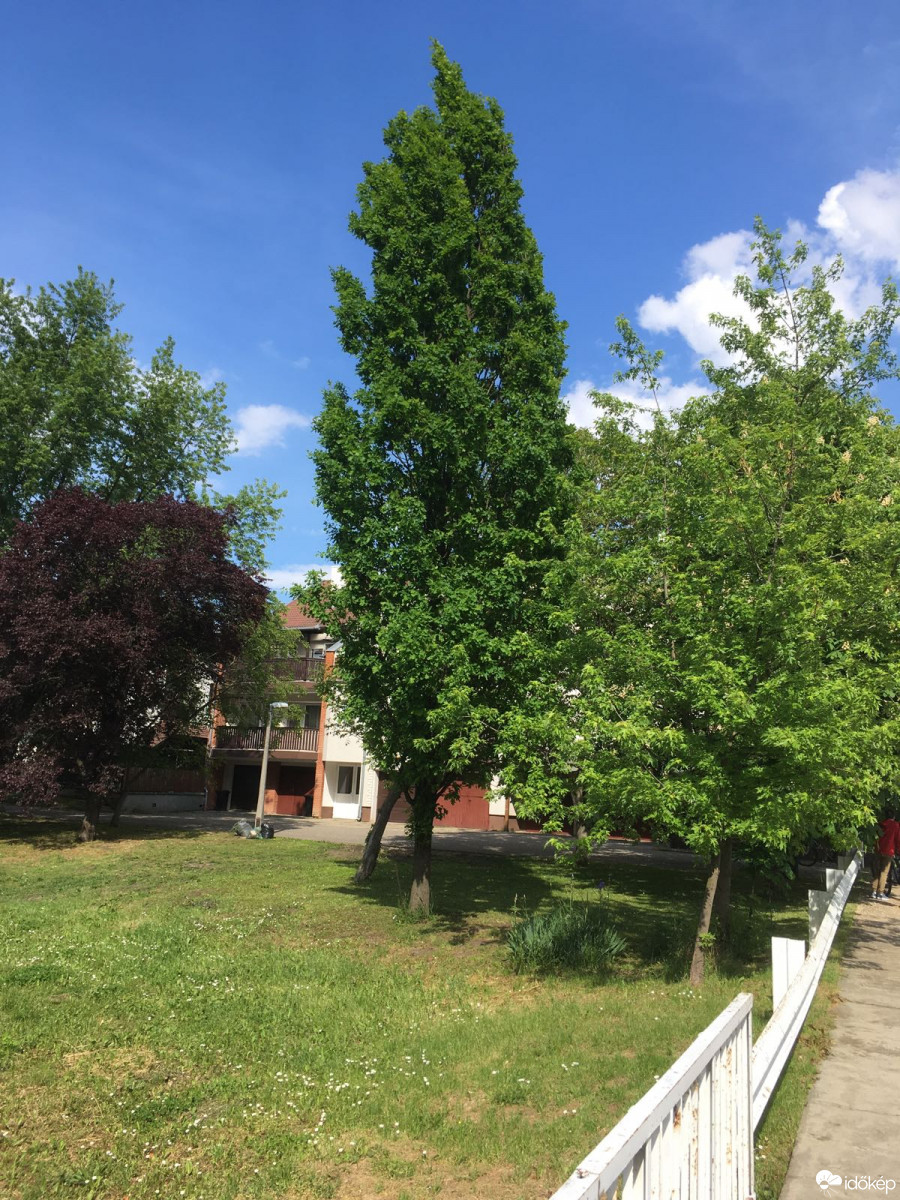 Észlelési fényképek