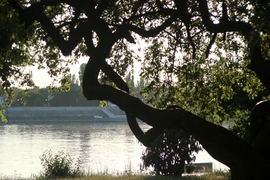 Esztergom!