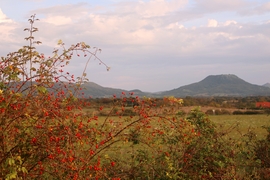 Színek 