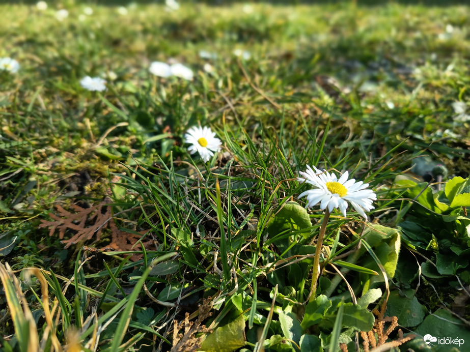 Észlelési fényképek