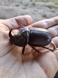 Biharkeresztes