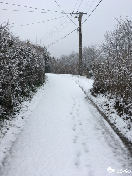 Észlelési fényképek