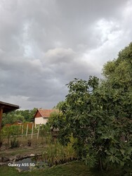 Cserkeszőlő