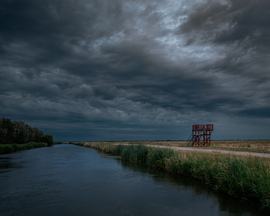 Madárles a nyugtalanság határán 
