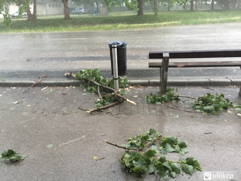 Észlelési fényképek