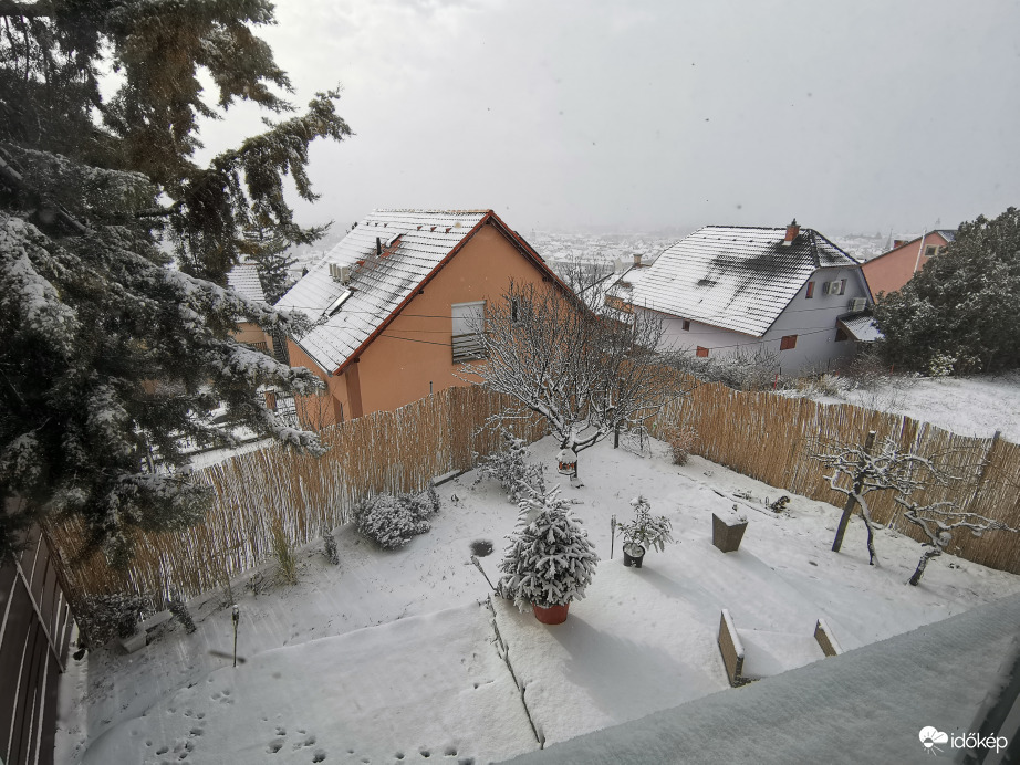 Észlelési fényképek