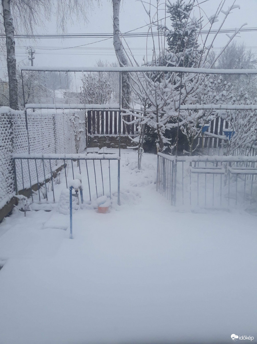 Észlelési fényképek