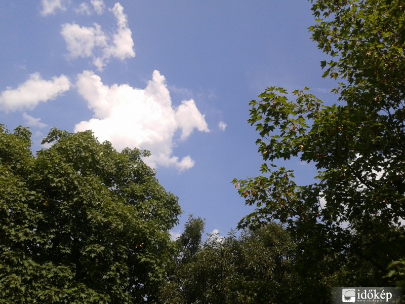 Észlelési fényképek