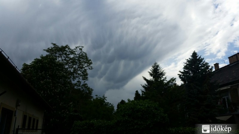 Észlelési fényképek