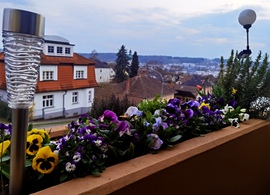 felsoori fotója