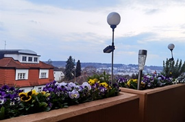 felsoori fotója