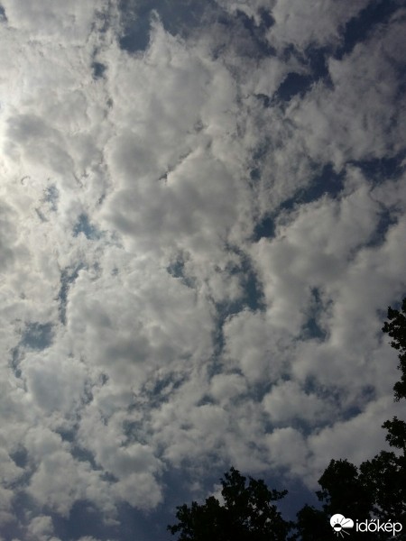 Észlelési fényképek