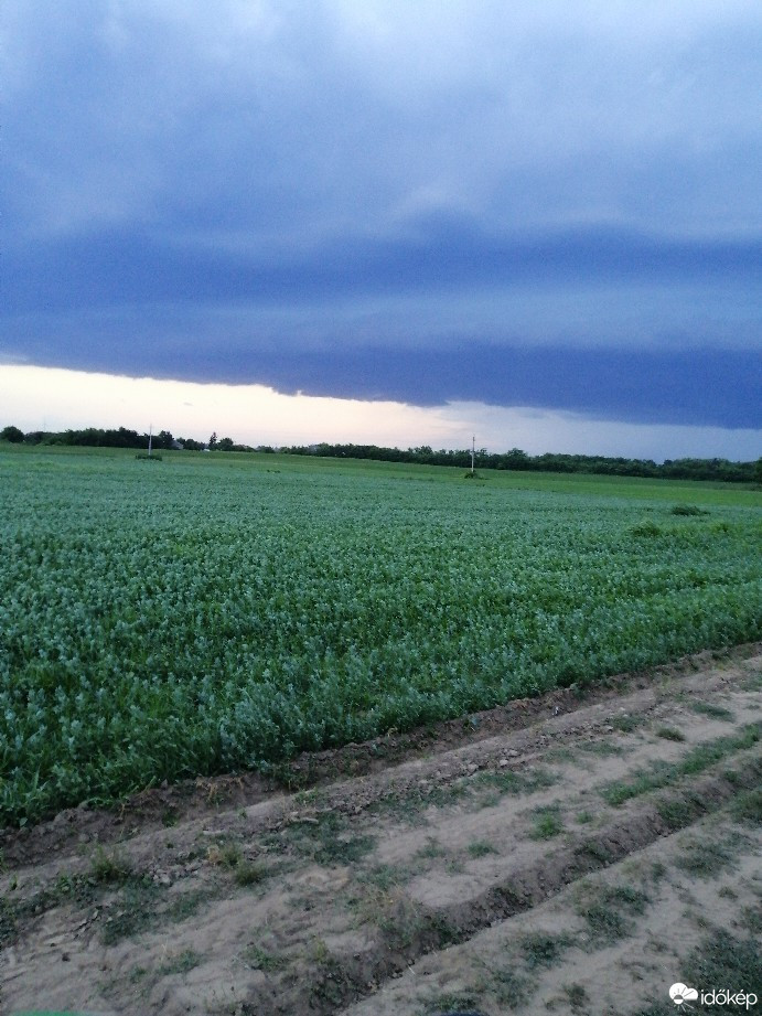 Észlelési fényképek