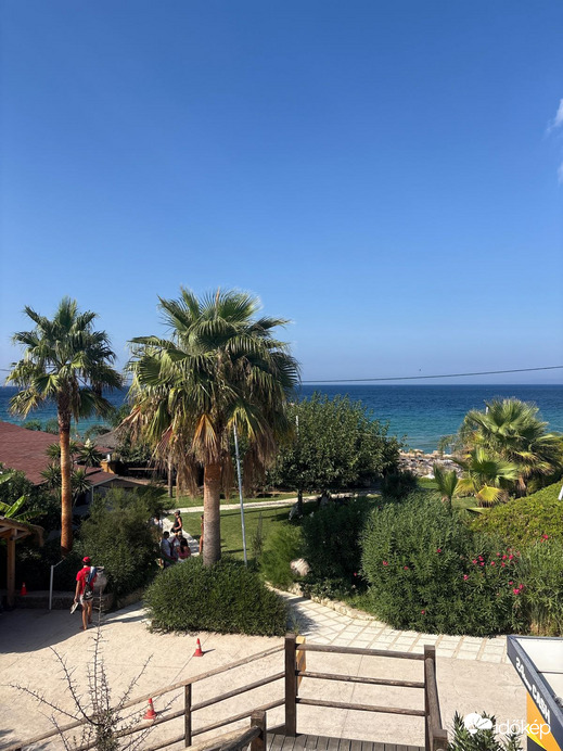 Άνω Βασιλικός