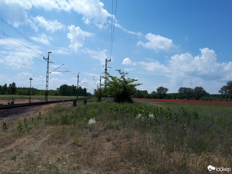 Észlelési fényképek