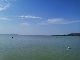 Balatonrendes