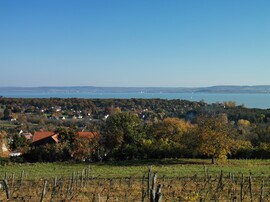 Balatonrendes