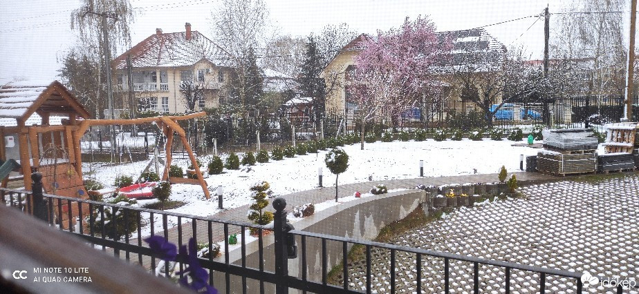 Észlelési fényképek