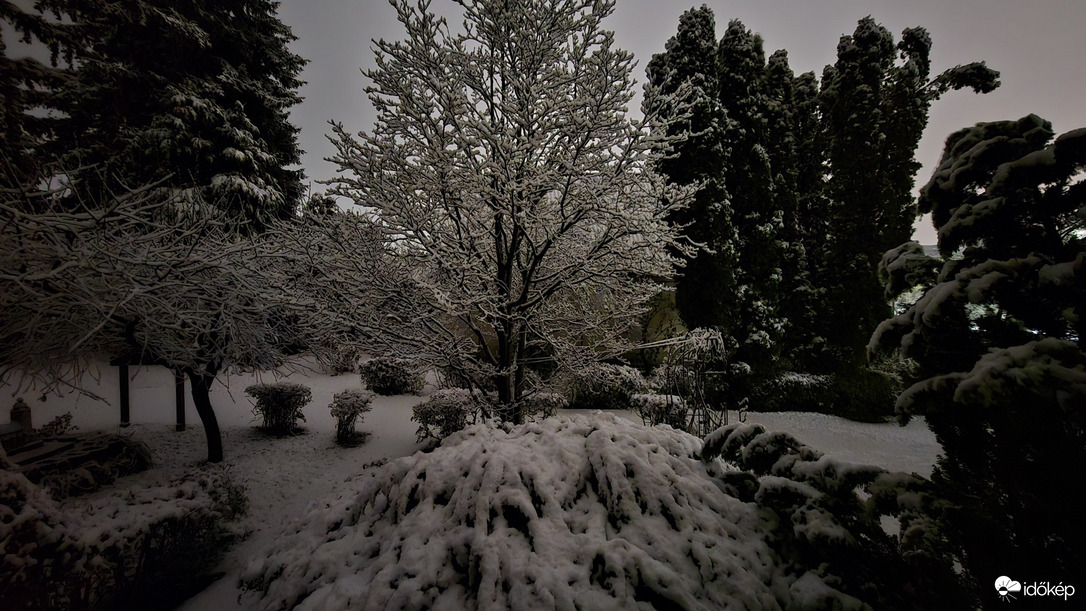 Észlelési fényképek