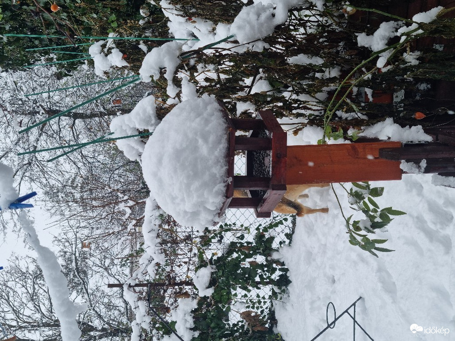 Észlelési fényképek