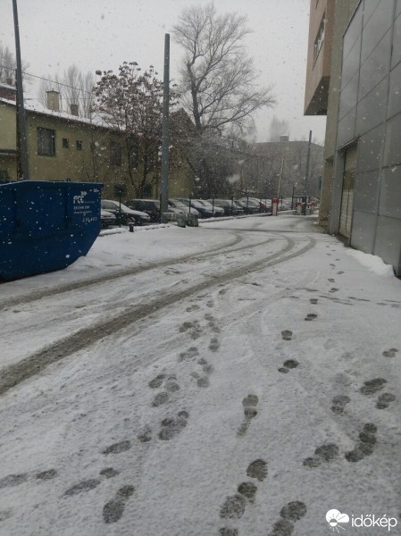 Észlelési fényképek