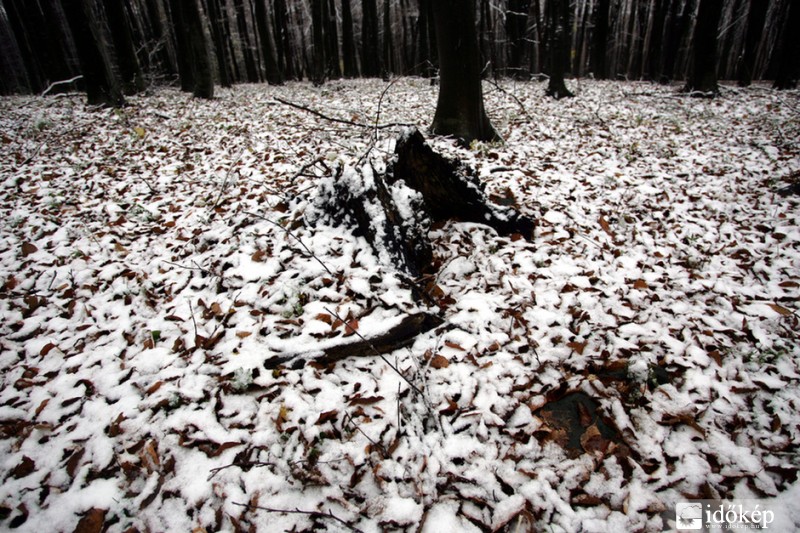 Észlelési fényképek