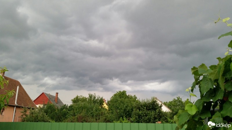 Észlelési fényképek