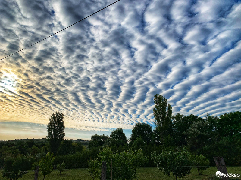 Észlelési fényképek