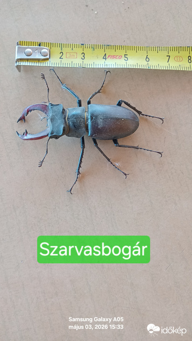 Természet