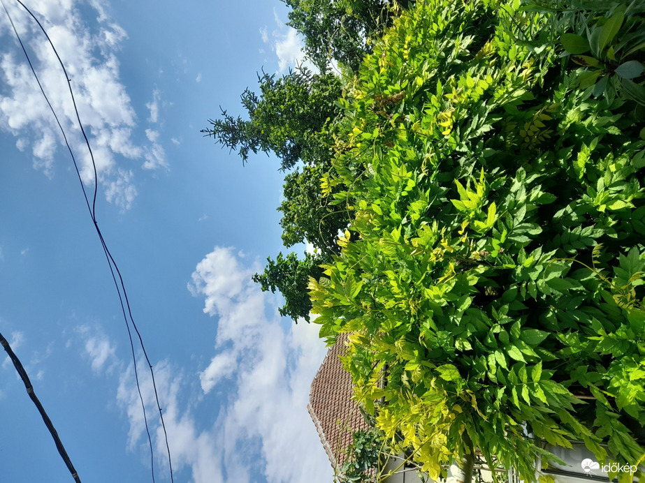 Észlelési fényképek