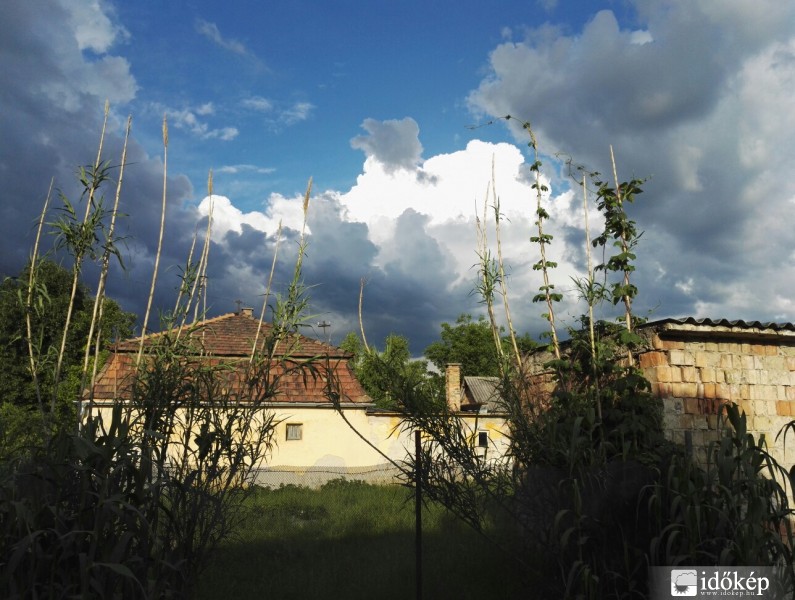 Észlelési fényképek