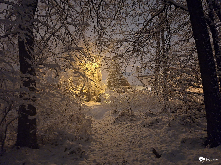 Észlelési fényképek