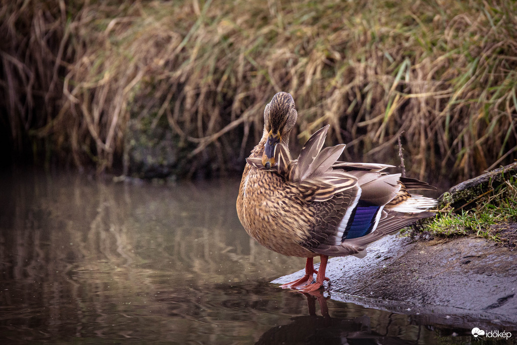 Ebből most húzok egyet