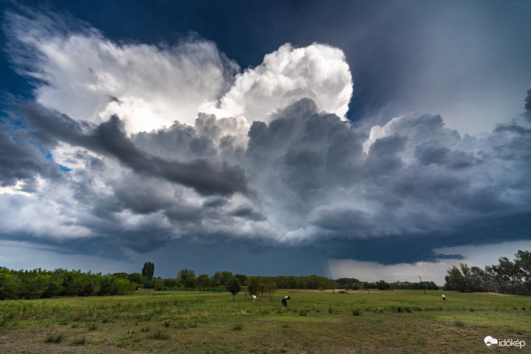 Ruzsa felé jött egy kis cucc :D