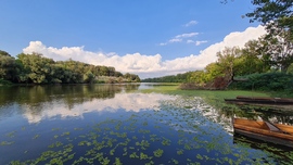 Körtvélyesi  Tisza holt-ág