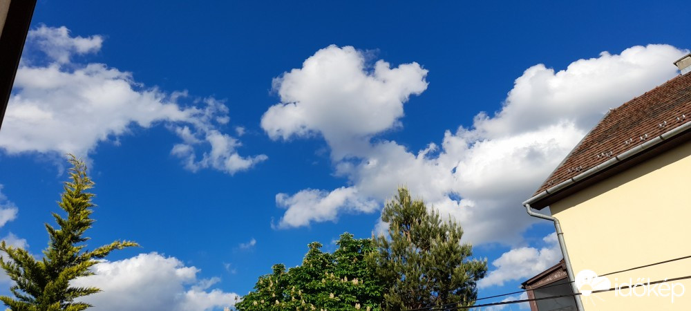 Észlelési fényképek