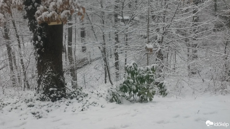 Észlelési fényképek