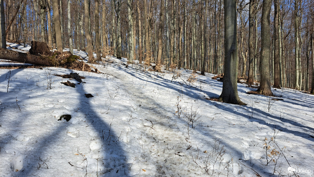 Észlelési fényképek