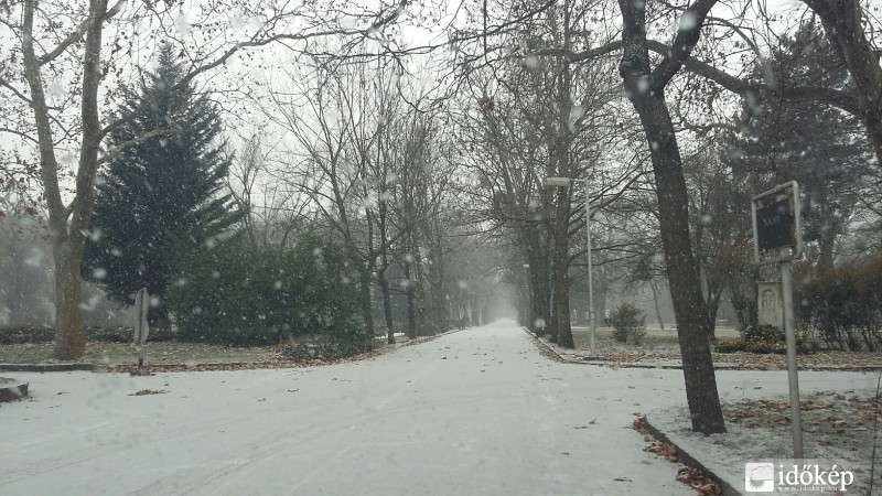 Észlelési fényképek