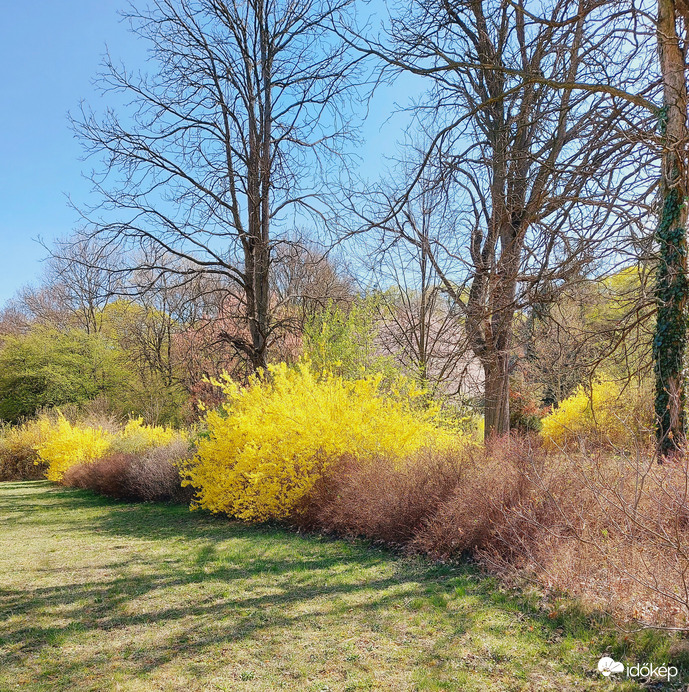 Tavasz betöltve :)