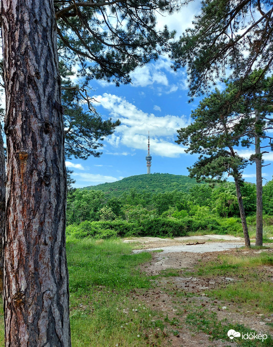 Kis hazánk legmagasabb épülete
