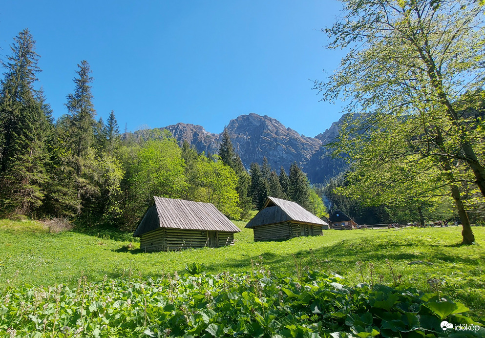 Alpesi táj.