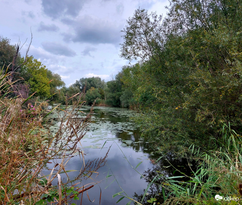 Holt-Marcal részlet