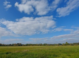Őszi mező