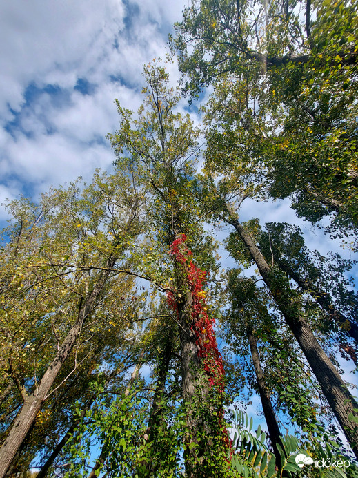 Egy kicsi minden színből.