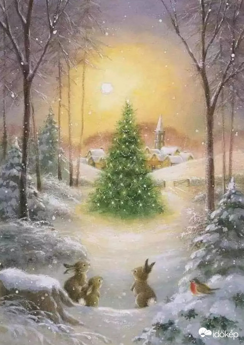 Áldott,békés karácsonyt kívánok :)